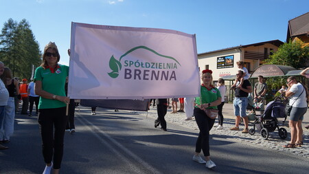  (kliknięcie spowoduje powiększenie obrazu)