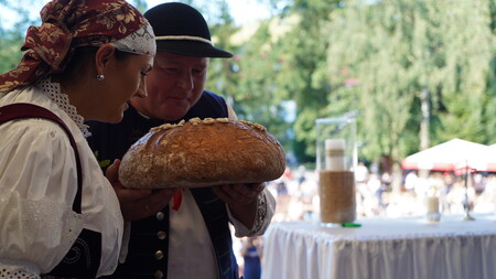  (kliknięcie spowoduje powiększenie obrazu)