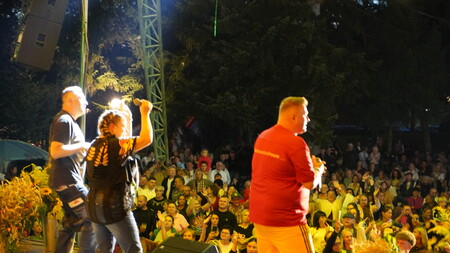  (kliknięcie spowoduje powiększenie obrazu)