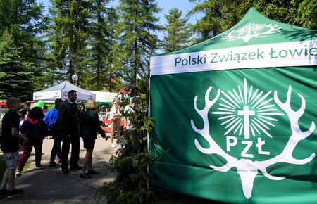  (kliknięcie spowoduje powiększenie obrazu)