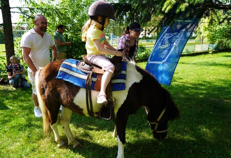  (kliknięcie spowoduje powiększenie obrazu)