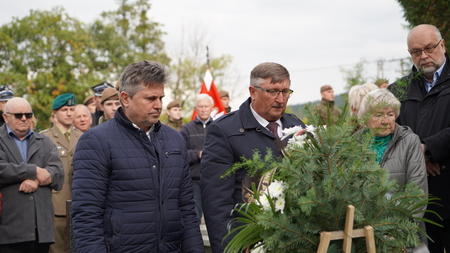  (kliknięcie spowoduje powiększenie obrazu)
