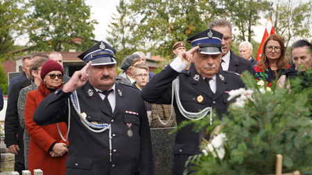  (kliknięcie spowoduje powiększenie obrazu)