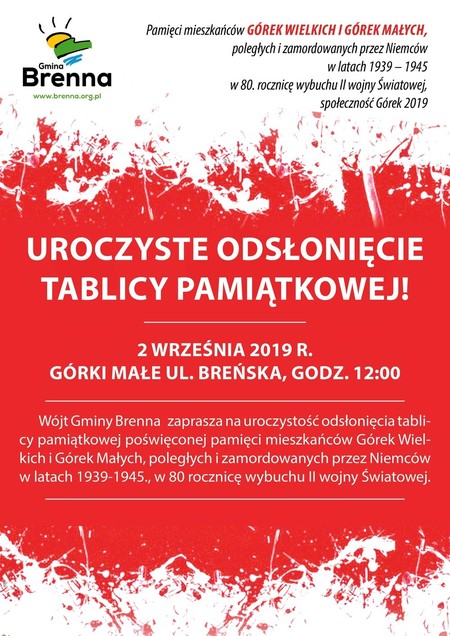 Ulotka (kliknięcie spowoduje powiększenie obrazu)