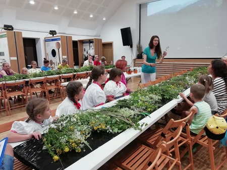  (kliknięcie spowoduje powiększenie obrazu)