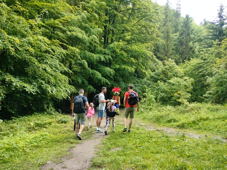 (kliknięcie spowoduje powiększenie obrazu)
