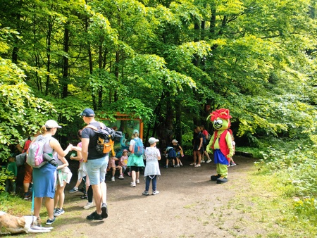  (kliknięcie spowoduje powiększenie obrazu)