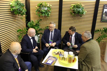  (kliknięcie spowoduje powiększenie obrazu)