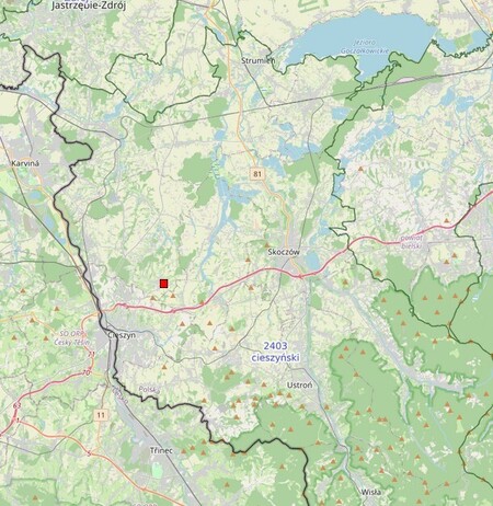  (kliknięcie spowoduje powiększenie obrazu)