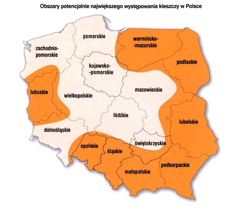  (kliknięcie spowoduje powiększenie obrazu)