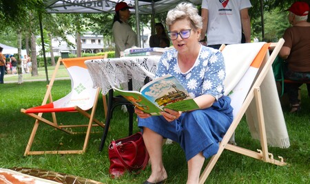  (kliknięcie spowoduje powiększenie obrazu)