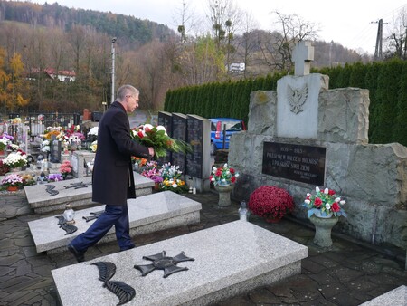  (kliknięcie spowoduje powiększenie obrazu)