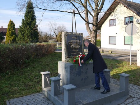  (kliknięcie spowoduje powiększenie obrazu)