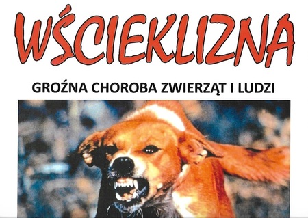  (kliknięcie spowoduje powiększenie obrazu)