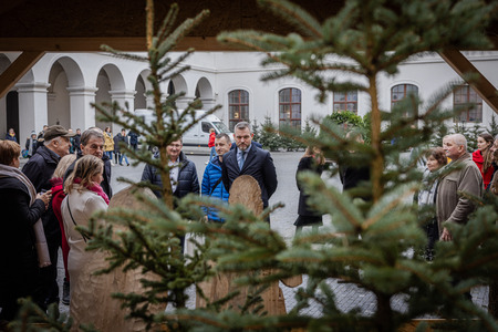  (kliknięcie spowoduje powiększenie obrazu)